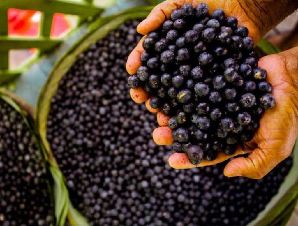 Açaí 500ml
